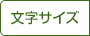 文字サイズ